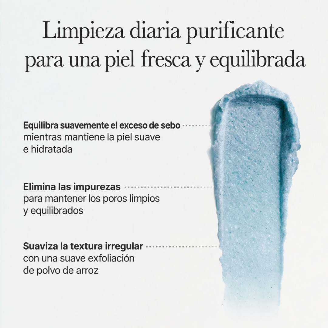 Arencia Hyssop Sebum Control Rice Cake Cleanser Arencia Hyssop Sebum Control Rice Cake Cleanser